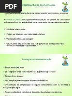 fitorremediação