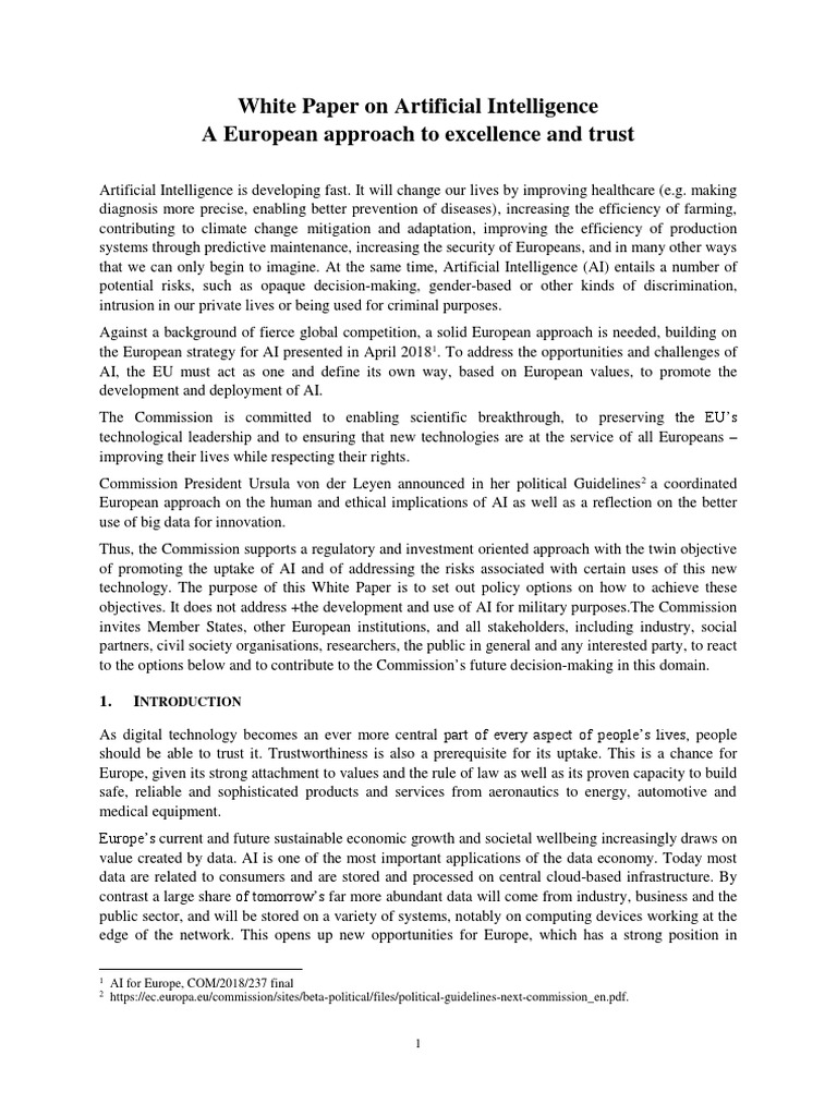 White Paper On Artificial Intelligence A European Approach To Excellence and Trust PDF