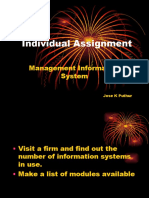 Individual Assignment: Management Information System
