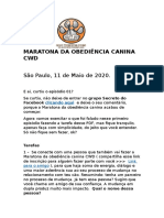 ATIVIDADE 01 - MARATONA DA OBEDIÊNCIA CANINA CWD - Maio 2020