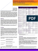 European and American Lyme Borreliosis Diagnostic and Treatment Guidelines Summary