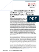 Azlocillin Can Be The Potential Drug Candidate Against Drug-Tolerant Borrelia Burgdorferi Sensu Stricto JLB31