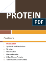 Protein (Part II)