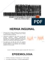 Hernias Inguinales e Hidrocele