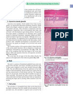 Apocrine Sweat Glands: E. Nail