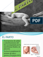 EL PARTO.ppt