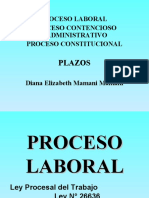 Plazos Proceso Laboral, Contencioso Administrativo y Constitucional