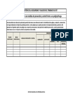Formato Jerarquizacion PDF