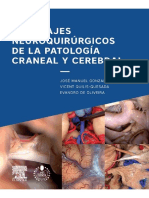 Abordajes Neuroquirúrgicos de La Patología Craneal y Cerebral PDF