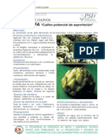 calabazaninites.pdf