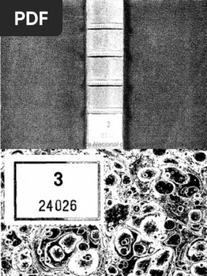 francisco sobrino grammaire nouvelle espagnolle et francoise 1717 pdf genre grammatical taxonomie