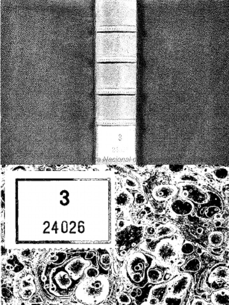 Francisco Sobrino Grammaire Nouvelle Espagnolle Et Francoise 1717 Pdf Genre Grammatical Taxonomie