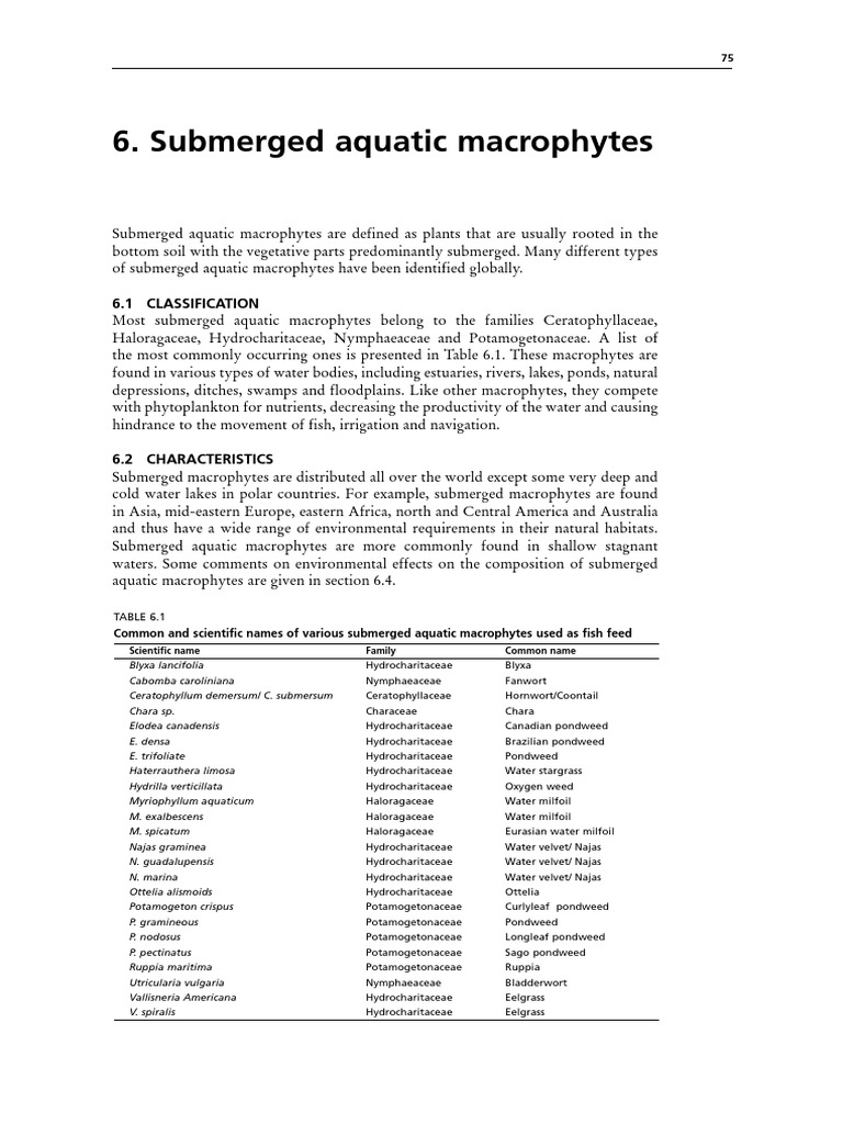 Submerged Aquatic Macrophytes Overview | PDF | Aquatic Organisms | Plants