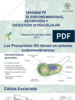 UNIDAD IV SISTEMA DE ENDOMEMBRANAS Revisado