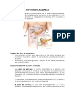 Anatomía, Fisio e Histología Del Páncrea1