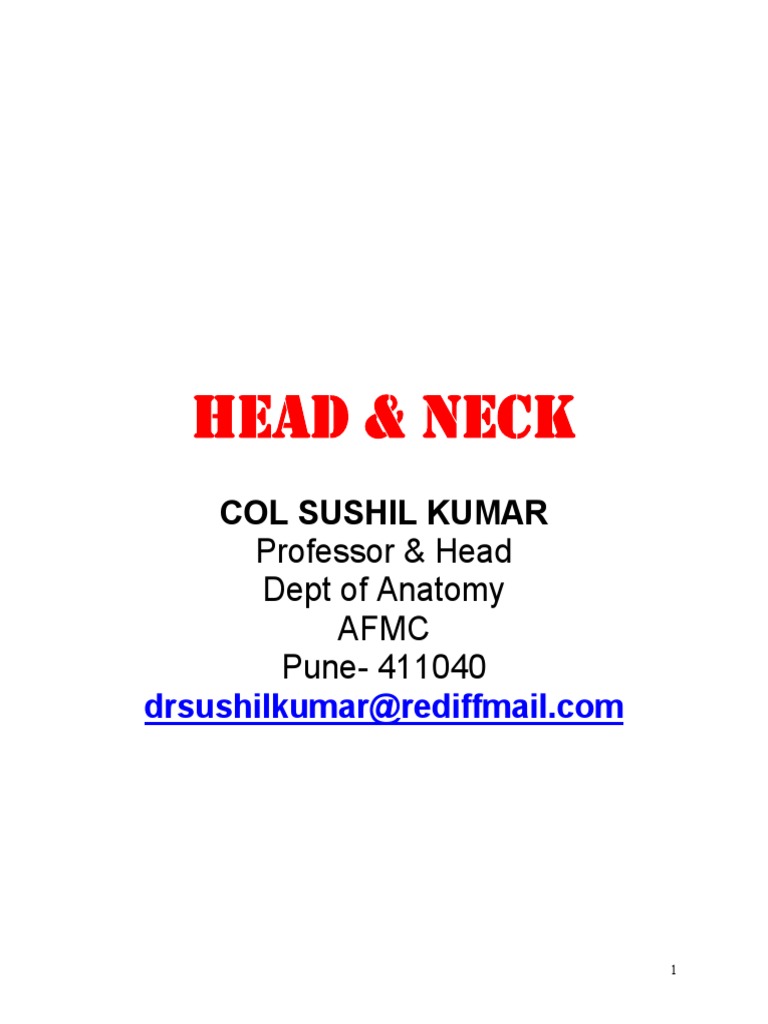 Anatomy of Head and Neck Structures | PDF | Common Carotid Artery | Neck