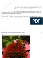 Reproducción de Las Plantas PDF