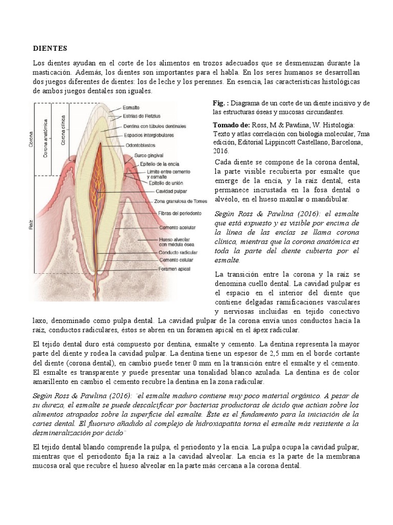 (02)
