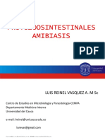 26.02.13 Amibiasis PDF