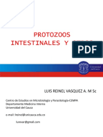 26.02.13 Protoozoos Intestinales y Otros PDF