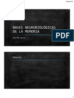 Clase Memoria Bases Neuroanatomicas
