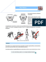 Diferencias anatómicas y funcionales del piso pélvico masculino y femenino