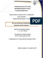 SAngrado Tubo Digestivo Bajo - Reyes Soberanis Modificado