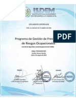 Programa de Gestion de Prevencion de Riesgos