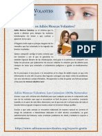 Vdocuments - MX - Adios Moscas Volantes Descargar Gratis 5794738571391 PDF