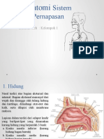 ANATOMISISTEMPERAPASAN