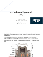 lec 8 PDL النظري