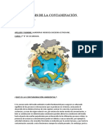 Análisis de La Contaminación Ambiental... Propuestas.