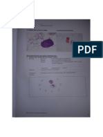 Hematologi Tugas 15&16 Aditya 411118112