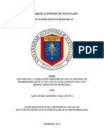 Estudio de La Poblacion Microbiana en Un Sistema de Biorremediación in Situ de Un Suelo Impactado Con Hidrocarburos de Petróleo