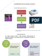 Métodos de Cuantificación de Los Ácidos Nucleicos