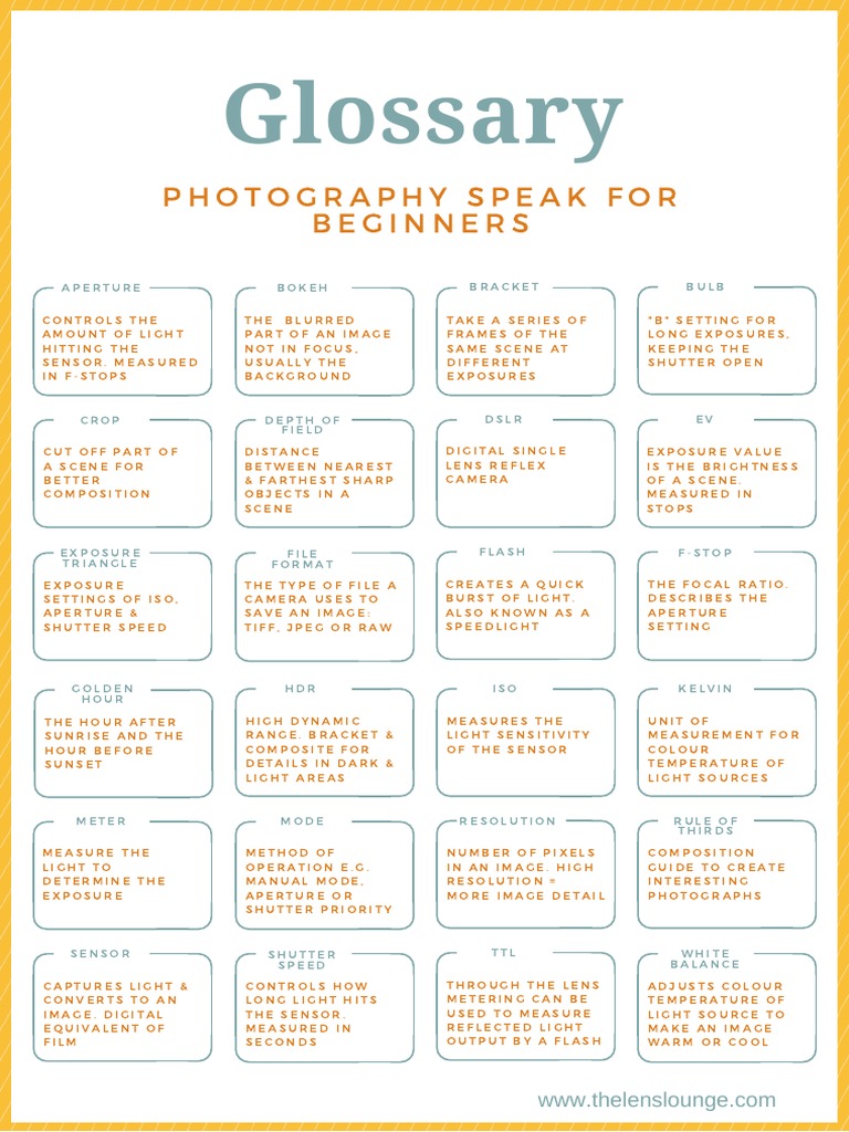 The Lens Lounge Glossary of Photography Terms PDF Exposure