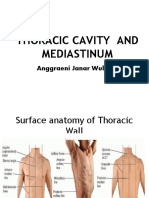 Thoracic Cavity and Mediastinum: Anggraeni Janar Wulan