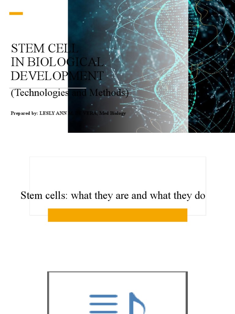 Understanding Stem Cells in Development | PDF