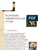 Economic Importance of Fungi