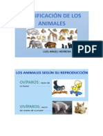 Clasificacion de Los Animales