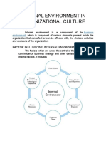 Internal Environment in Organizational Culture