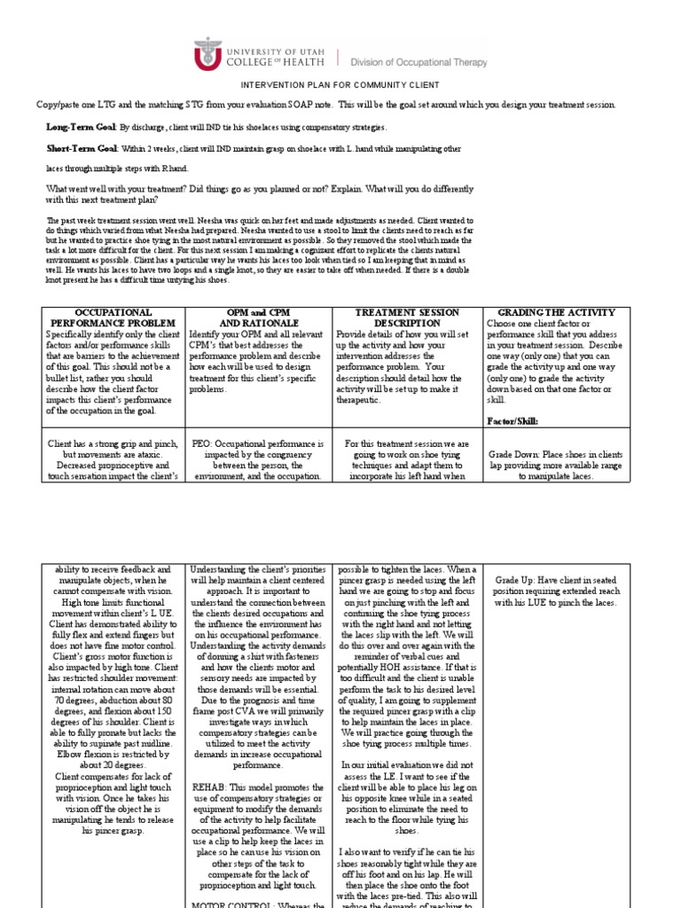Artifact 2 Treatment Plan 6 PDF Anatomical Terms Of Motion Motor