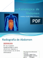anatomaradiolgicadeabdomen-150911010946-lva1-app6892