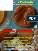 Kombucha Probiotico 2020 PDF