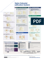 AOS Injury Classification Systems Poster 20200327 SUBAXIAL