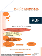 REANIMACIÓN NEONATAL (1) (1) (1)