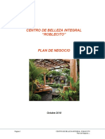 Plan de Negocio - Centro de Belleza Integral - 20181016