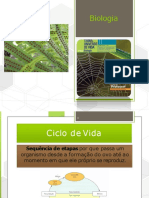 CICLOS-DE-VIDA_306f310699db0b070bbd8d993e9e326a.pdf