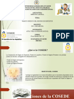 Corporación Del Seguro de Depósitos (COSEDE)