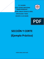 3 Asignación Sección y Corte de Figura